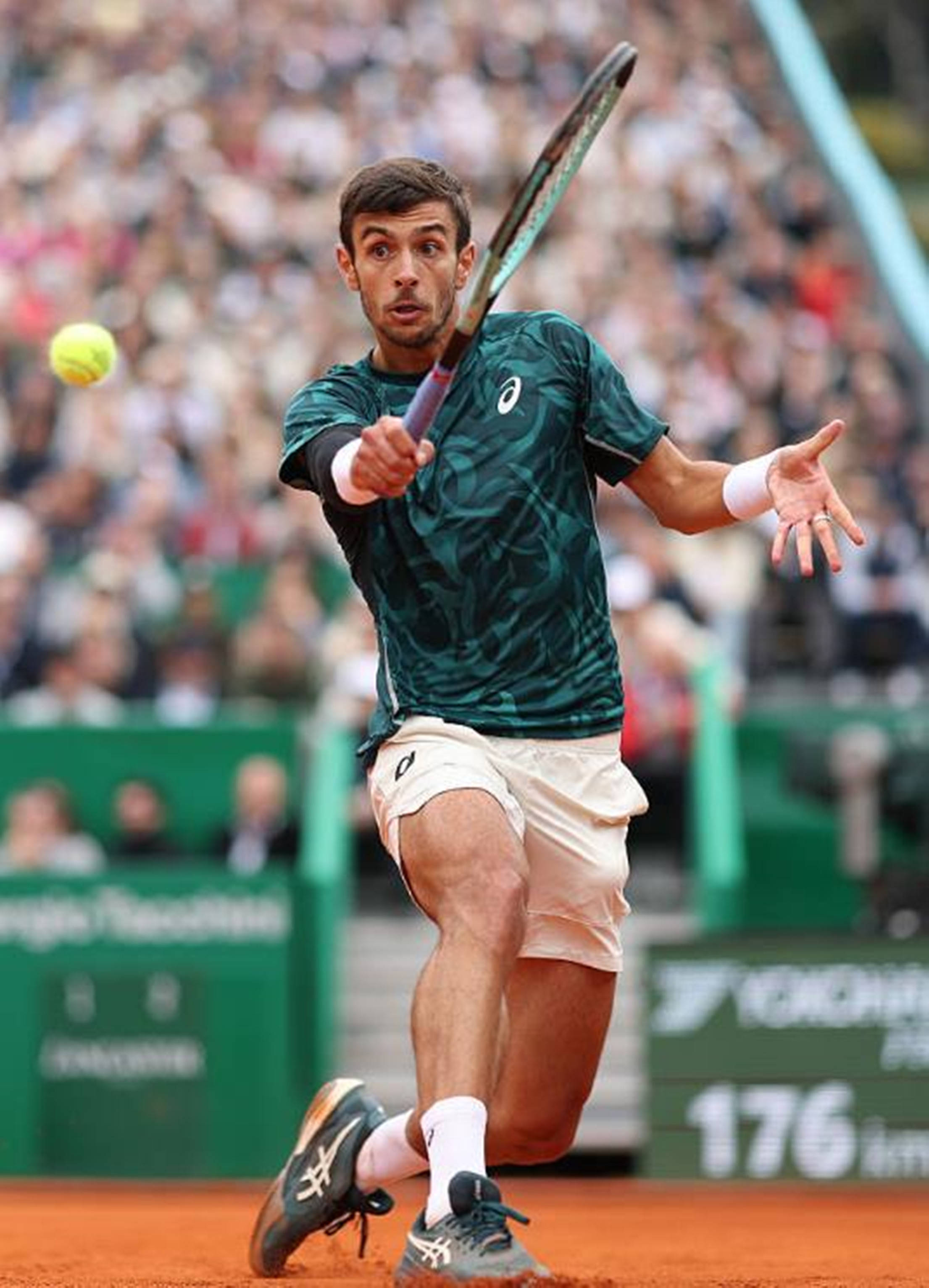 被球迷誉为 被球迷誉为