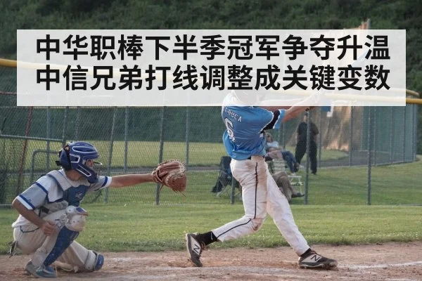 baseball batter hitting(Leyu)