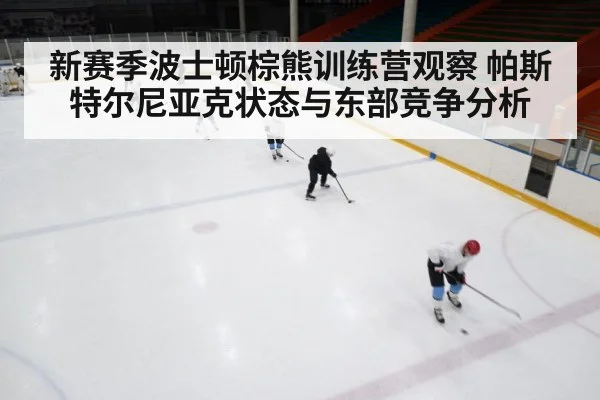 ice hockey training camp(Leyu)